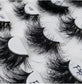 Lashes